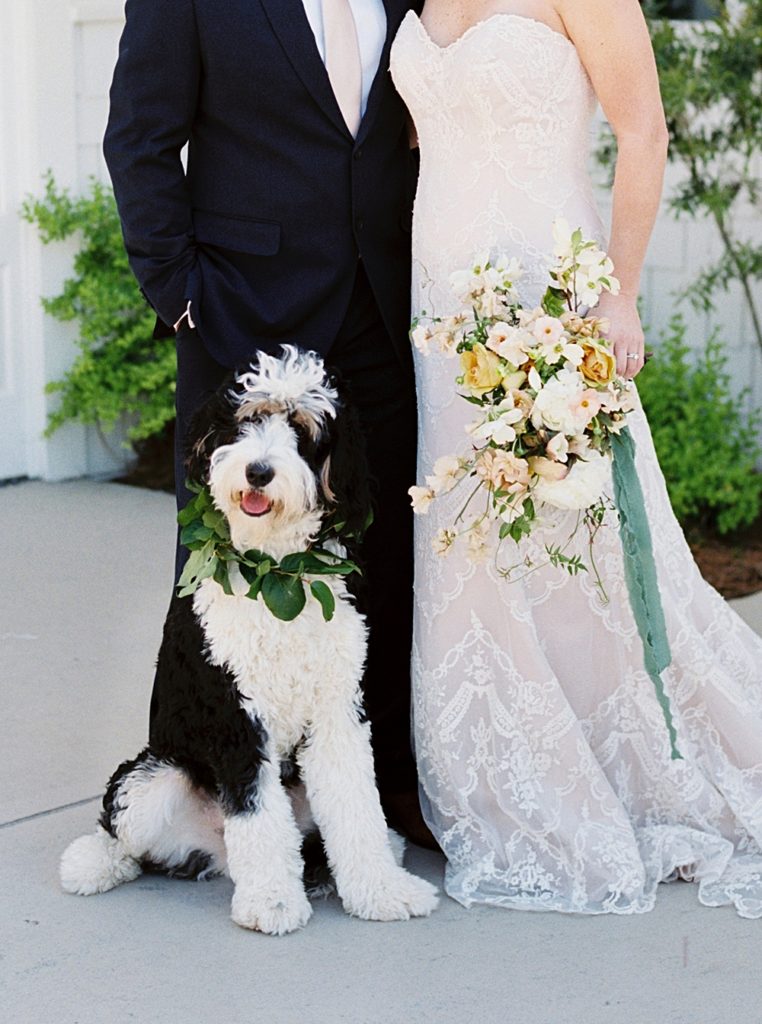 bernedoodle | Savannah Wedding Photographer 
| Shauna Veasey Photography | Tybee Island Wedding Chapel | Tybee Wedding Savannah Inspiration Shoot