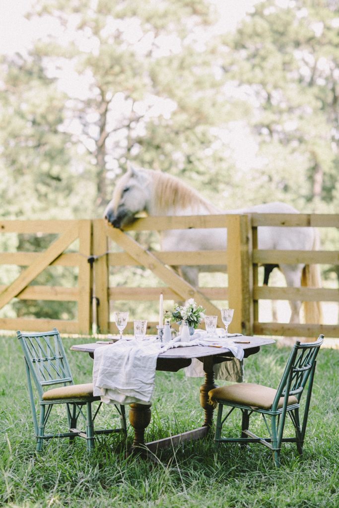 Farm-to-Table Dinner Editorial | Atlanta Film Photographer | Shauna Veasey Photography