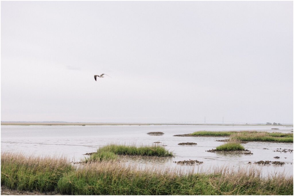 Jekyll Island Wedding